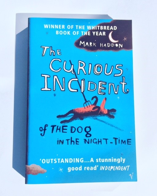The Curious Incident of the Dog in the Night-Time